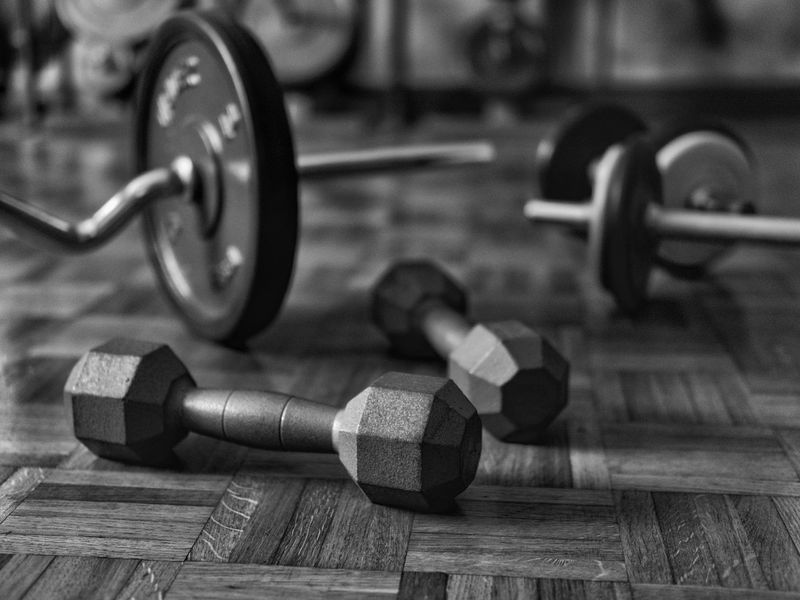 Selection of professional gym weights and equipment